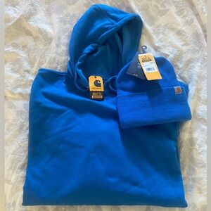 Carhartt Bundle Men's Midweight Signature Sleeve Logo Hooded Sweatshirt - Large